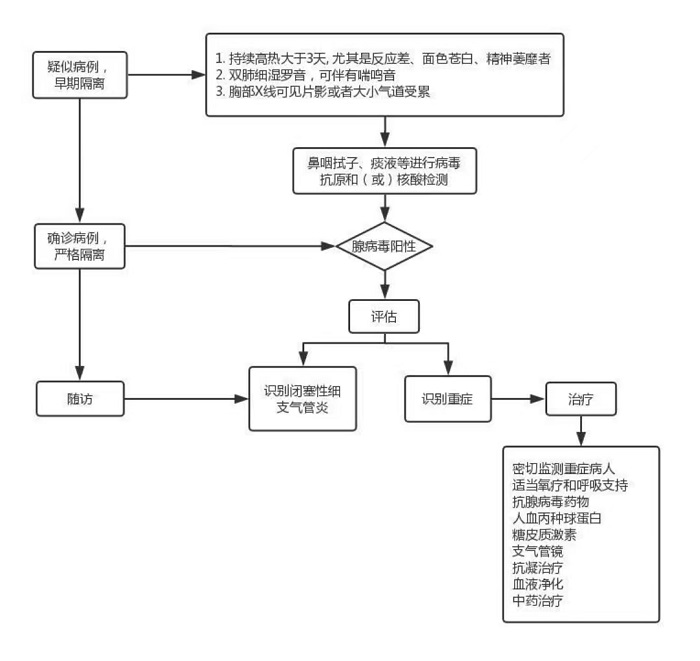 Diagnosis and treatment guidelines for adenovirus pneumonia in children