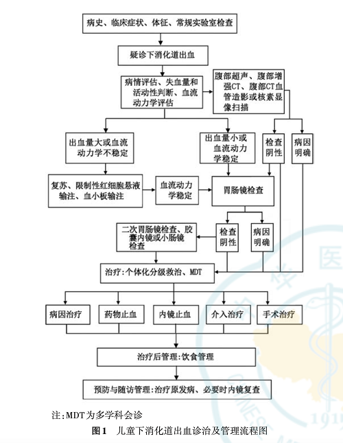 Guidelines for the diagnosis and treatment of lower gastrointestinal bleeding in children in China