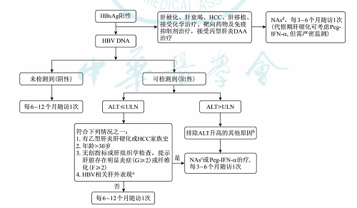 Prevention and treatment of chronic hepatitis B