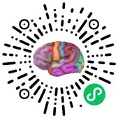 达哥的闲言碎语小程序